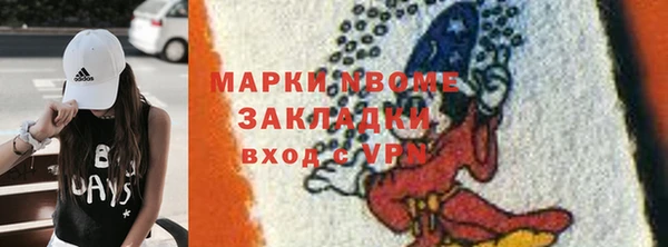 индика Алзамай