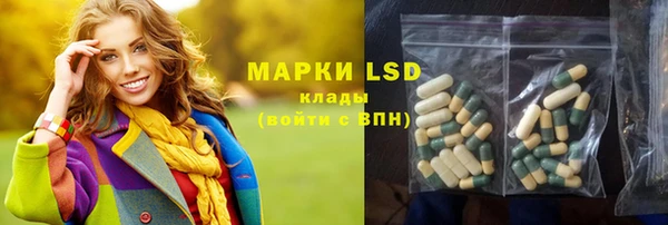 индика Алзамай