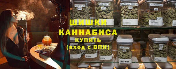 индика Алексеевка
