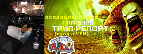 индика Алзамай
