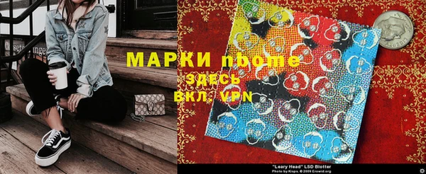 индика Алзамай