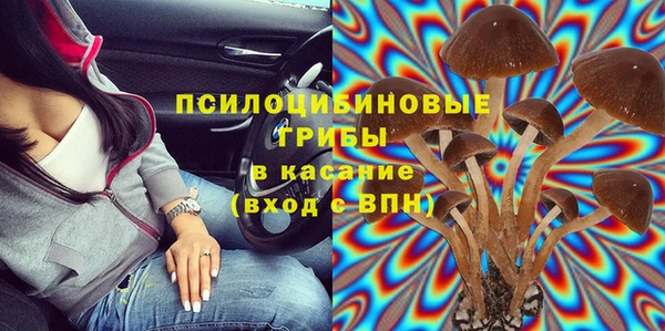 индика Алзамай