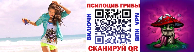 Галлюциногенные грибы Psilocybine cubensis Губкин